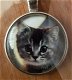 Katten in cirkel kettings - 2 - Thumbnail