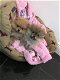 Schattige Pommerse puppy's beschikbaar - 0 - Thumbnail