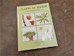 Prachtig boek over planten in Oman - 0 - Thumbnail