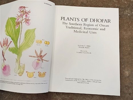 Prachtig boek over planten in Oman - 2