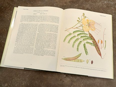 Prachtig boek over planten in Oman - 3