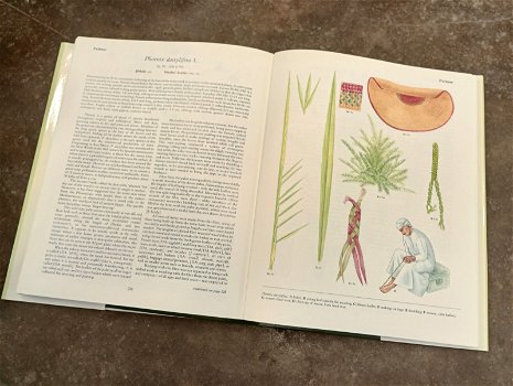 Prachtig boek over planten in Oman - 4