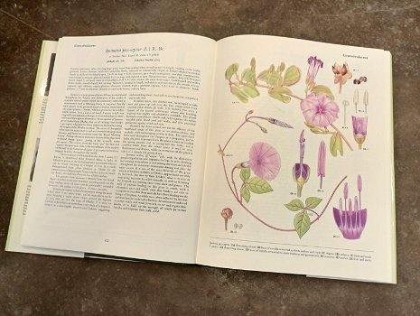 Prachtig boek over planten in Oman - 5