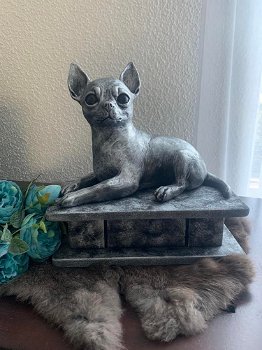 Chihuahua korthaar beeld als set incl. urn of als los beeld - 3