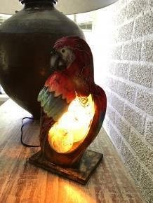lamp papegaai, paegaai - 1