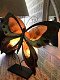 vlinder lamp , kado , vlinder - 4 - Thumbnail