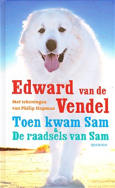 TOEN KWAM SAM & DE RAADSELS VAN SAM - Edward van de Vendel