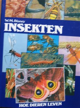 Insekten - 0