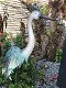 tuindecoratie , blauwe reiger - 2 - Thumbnail