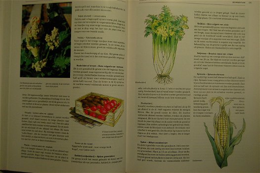 De Tuin Encyclopedie - 5