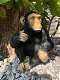 Mooi speels beeld van een zittende aap, polystone. ,aap - 0 - Thumbnail