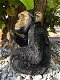 Mooi speels beeld van een zittende aap, polystone. ,aap - 3 - Thumbnail