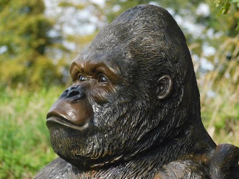 grote Gorilla , tuinbeeld - 0