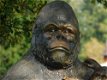 grote Gorilla , tuinbeeld - 2 - Thumbnail