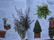Pippa Greenwood: The new Gardener - 5 - Thumbnail