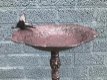 vogelbad , vogel , voederbak voor vogels - 6 - Thumbnail