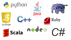 C, C++, C#, Java, Python, SASS, PHP, Javascript programming experts