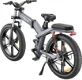 ENGWE X26 Electric Bike 26*4.0 Inch Fat Tires 50Km/h Max - 0 - Thumbnail