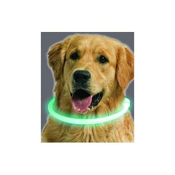 Led verlichtingsbuis voor de hond usb oplaadbaar - 5
