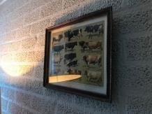 muurdecoratie , koe en stier - 0