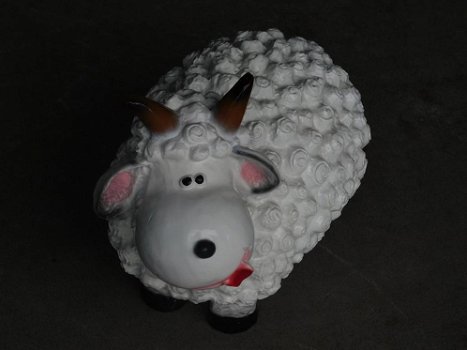 schaap , kado - 3