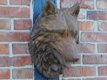 wolf , wanddecoratie ,beeld - 0 - Thumbnail