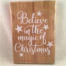 Kerst decoratie tekstbord (hout) Believe in the magic adv 2