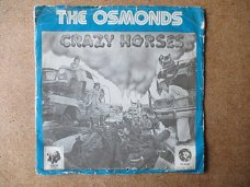 a4884 the osmonds - crazy horses