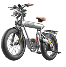 COSWHEEL T20R All-Terrain E-Bike, 20*4.0'' Tires, 750W