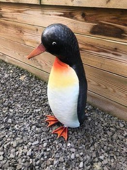 Pinguïn , kado - 4