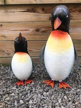 Pinguïn , kado - 6