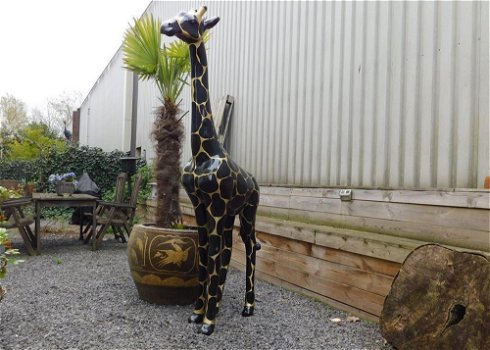 Giraffe ,beeld giraffe - 0