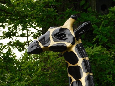 Giraffe ,beeld giraffe - 2