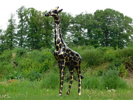 Giraffe ,beeld giraffe - 4