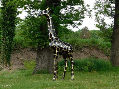 Giraffe ,beeld giraffe - 5