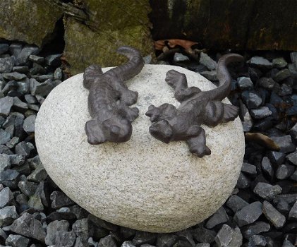 salamander op steen , tafel decoratie - 3