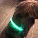 USB oplaadbare led verlichtingsbuis voor de hond - 2 - Thumbnail