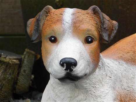 decoratief beeld van een hond , jack russel - 3