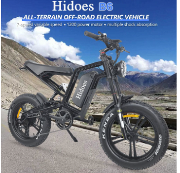 Hidoes B6 All-terrain Electric Bike 20 Inch Off-road Fat Tire - 3