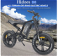 Hidoes B6 All-terrain Electric Bike 20 Inch Off-road Fat Tire - 3 - Thumbnail