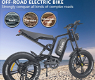 Hidoes B6 All-terrain Electric Bike 20 Inch Off-road Fat Tire - 5 - Thumbnail