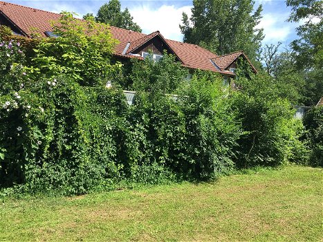 Hongarije: Zeer ruime luxe boerderij met paardenstallen en gastenverblijven - 1