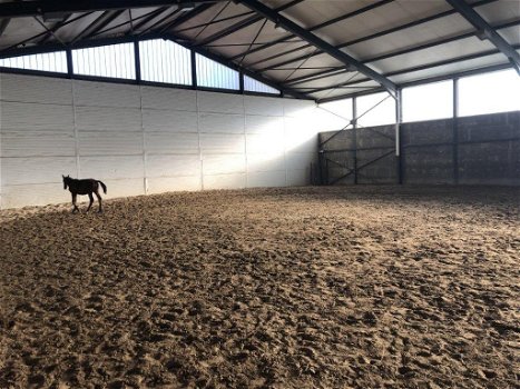 Hongarije: Zeer ruime luxe boerderij met paardenstallen en gastenverblijven - 7