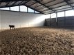Hongarije: Zeer ruime luxe boerderij met paardenstallen en gastenverblijven - 7 - Thumbnail