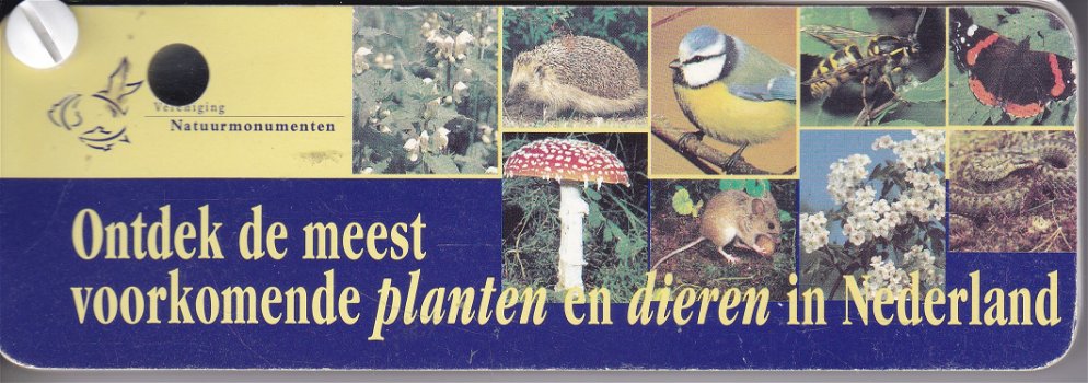 Ontdek de meest voorkomende planten en dieren in Nederland - 0