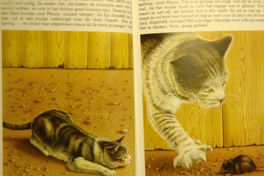 De Kat (boek) - 1