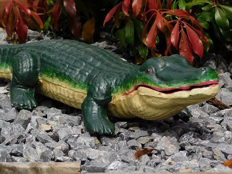 krokodil, tuinbeeld - 5