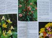 Het hele jaar bloemen van Bollen en Knollen - 1 - Thumbnail