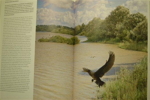 De Oostvaardersplassen - 4