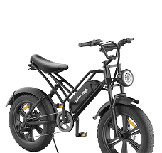 HAPPYRUN HR-G50 Electric Bike 20*4.0 Inch Fat Tires